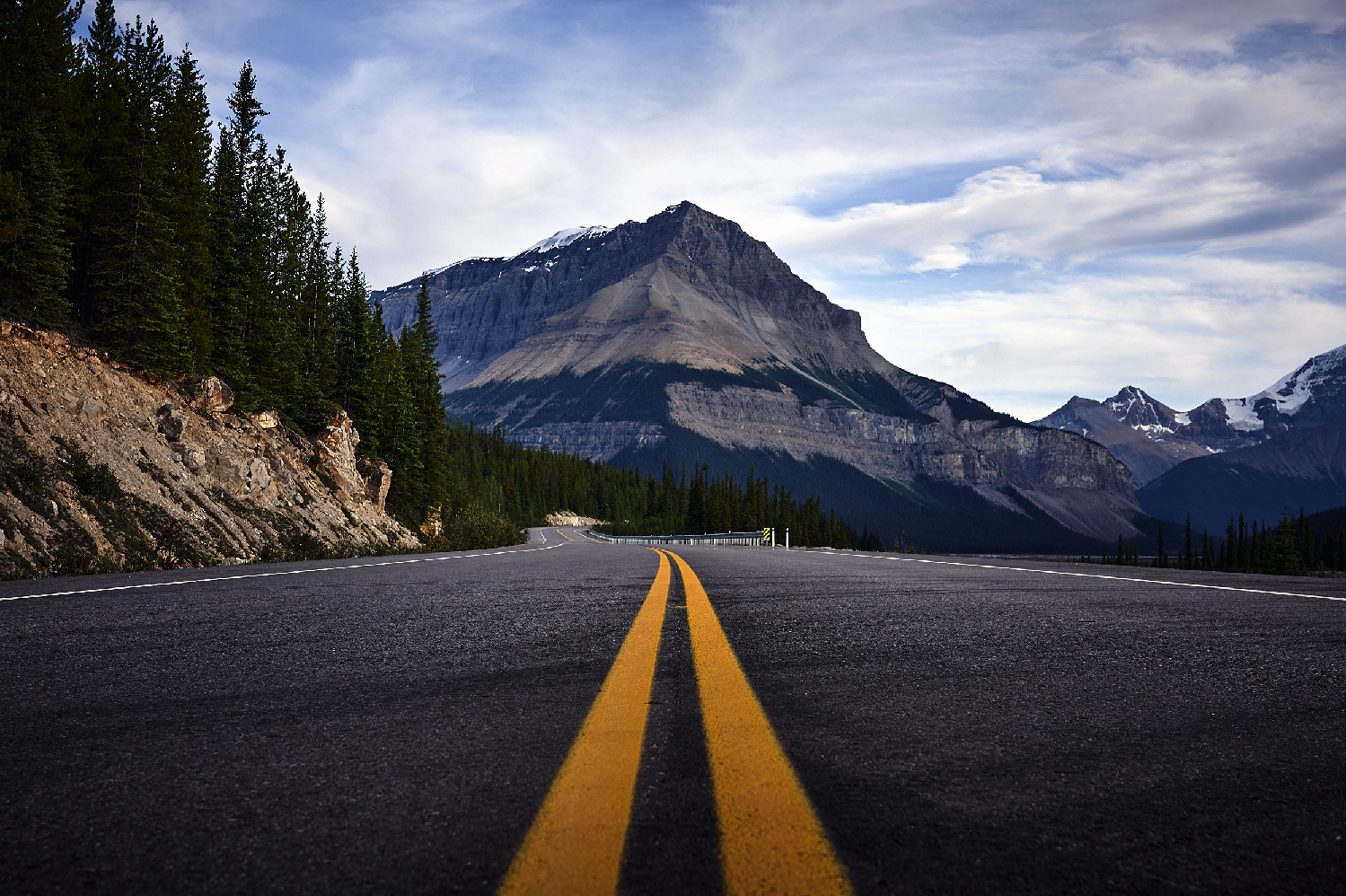 Enjoy Summer Fully, Drive Responsibly 